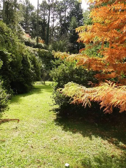 Holiday home Casa Dentro Do Horto Florestal - Puro Sossego! Campos do Jordao